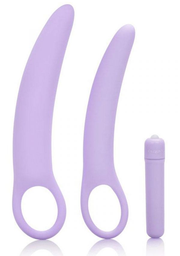 Dr. Laura Berman Intimate Basics Isabelle Vibrating Silicone Dialators Set Waterproof Purple 2 Each