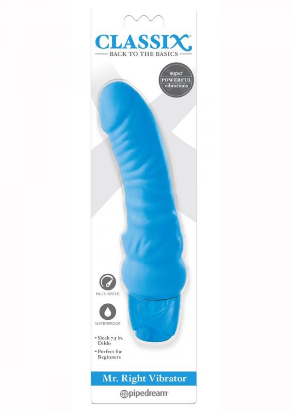 Mr Right Vibrator Blue Waterproof Multi Speed