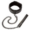 Boundless Collar andamp; Leash - Black
