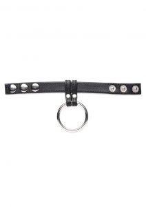 Cock Gear Leather and Steel Cock andamp; Ball Ring - Black