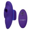 Lock-N-Play Remote Suction Rechargeable Silicone Panty Teaser Panty Vibe - Purple