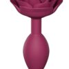 Open Roses Silicone Anal Plug - Medium - Plum Star