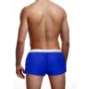 Prowler Swim Trunk - Small - Blue