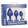 Cheeky Gems Silicone Anal Training Kit - Purple