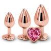 Rear Assets Aluminum Anal Plug Trainer Kit (3 pieces) - Pink/Rose Gold
