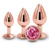 Rear Assets Aluminum Anal Plug Trainer Kit (3 pieces) - Rose Gold/Pink