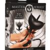 Master Series Ass Bound Anchor Inflatable Silicone Anal Plug - Black