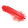 Frisky Anal Itch Relief Inc Prank Gift - Red
