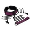WhipSmart Dragon`s Lair Collar