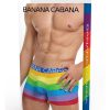 Banana Cabana Trunks - Medium/Large - Rainbow