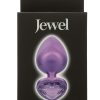 Jewel Amethyst Heart Anal Plug - Large - Purple