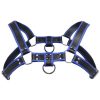 Master Series Bulldog Harness - Blue